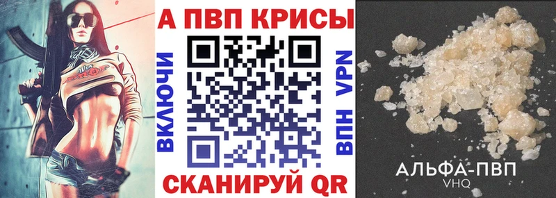 мориарти телеграм  Кяхта  A PVP крисы CK 