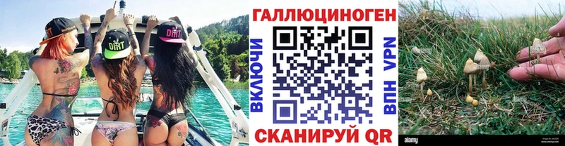 Галлюциногенные грибы Magic Shrooms  как найти   Кяхта 